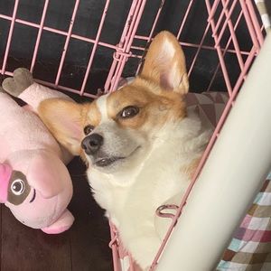 Meet your Posher, Antonia